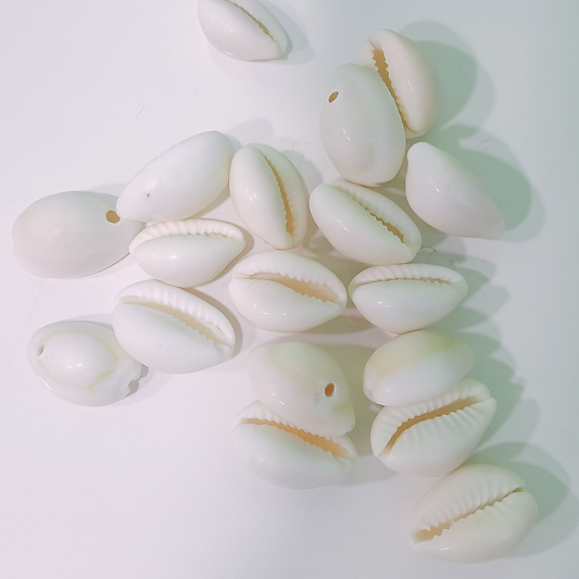 Natural White Cowrie Shell Beads For Jewelry & Crafts